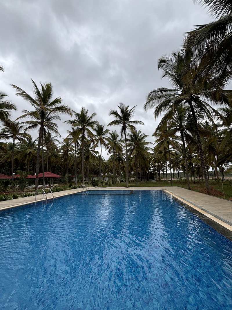 Large infinity pool with coconut palms and dramatic monsoon sky
