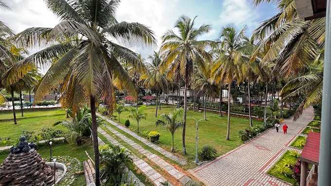 Orange adventure tent camping under coconut palms