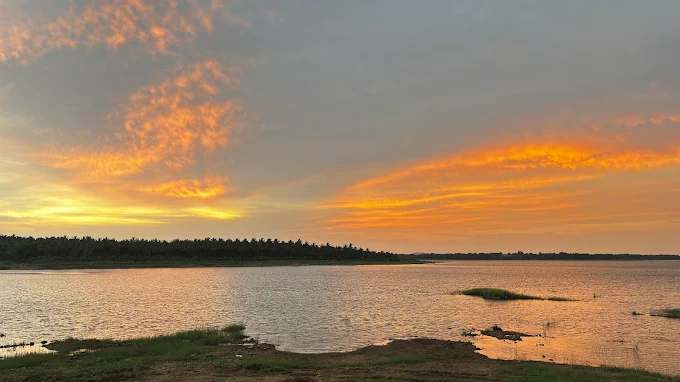 Backwaters of Markonahalli Dam with colourful flags and coconut trees